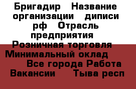 Бригадир › Название организации ­ диписи.рф › Отрасль предприятия ­ Розничная торговля › Минимальный оклад ­ 35 000 - Все города Работа » Вакансии   . Тыва респ.